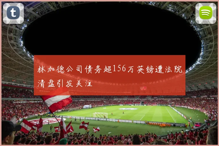 林加德公司债务超156万英镑遭法院清盘引发关注