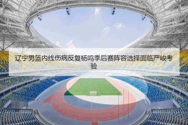 辽宁男篮内线伤病反复杨鸣季后赛阵容选择面临严峻考验